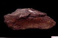 藏品(肢骨碎塊)的圖片